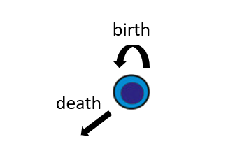 birthdeath