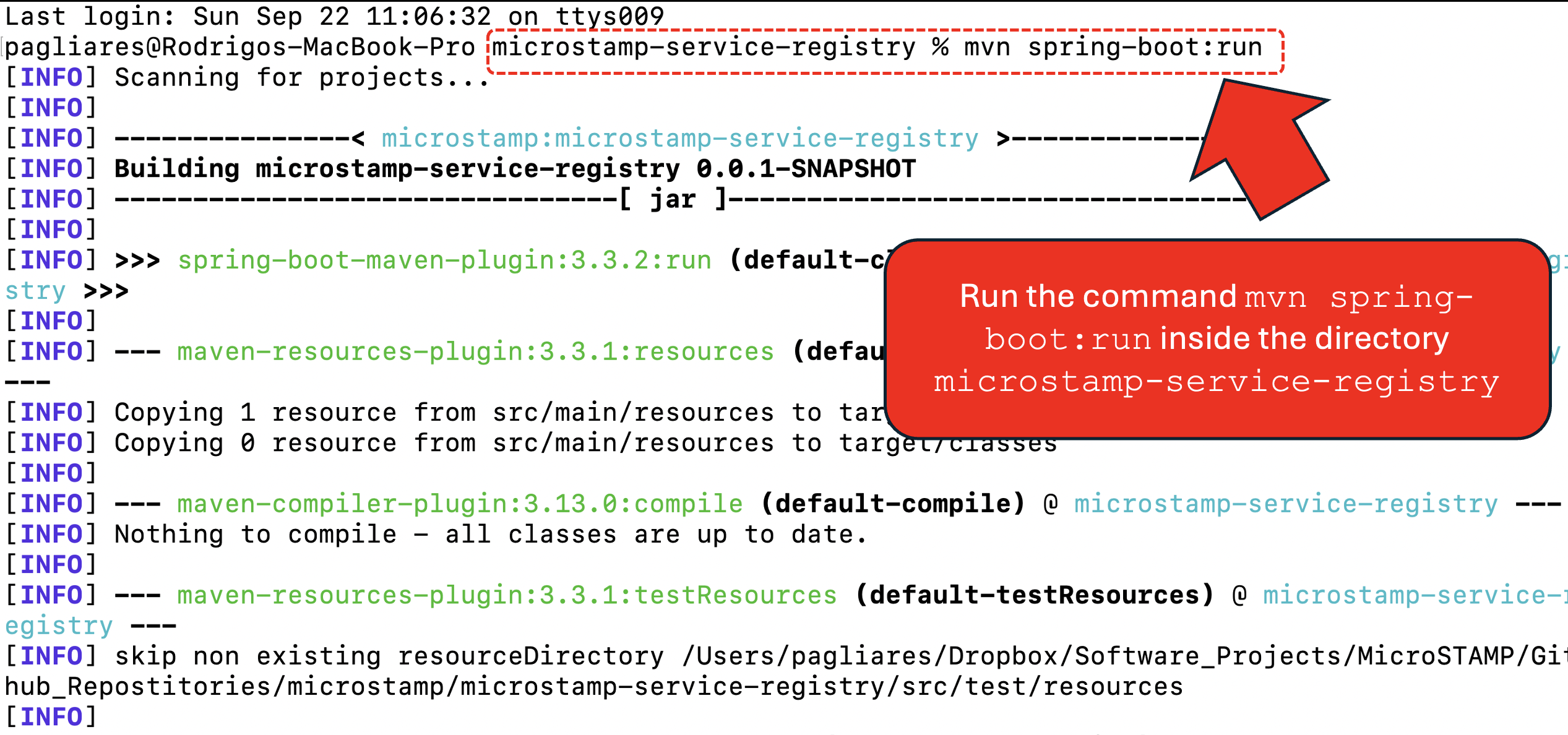 Running the service registry with Apache Maven at command-line