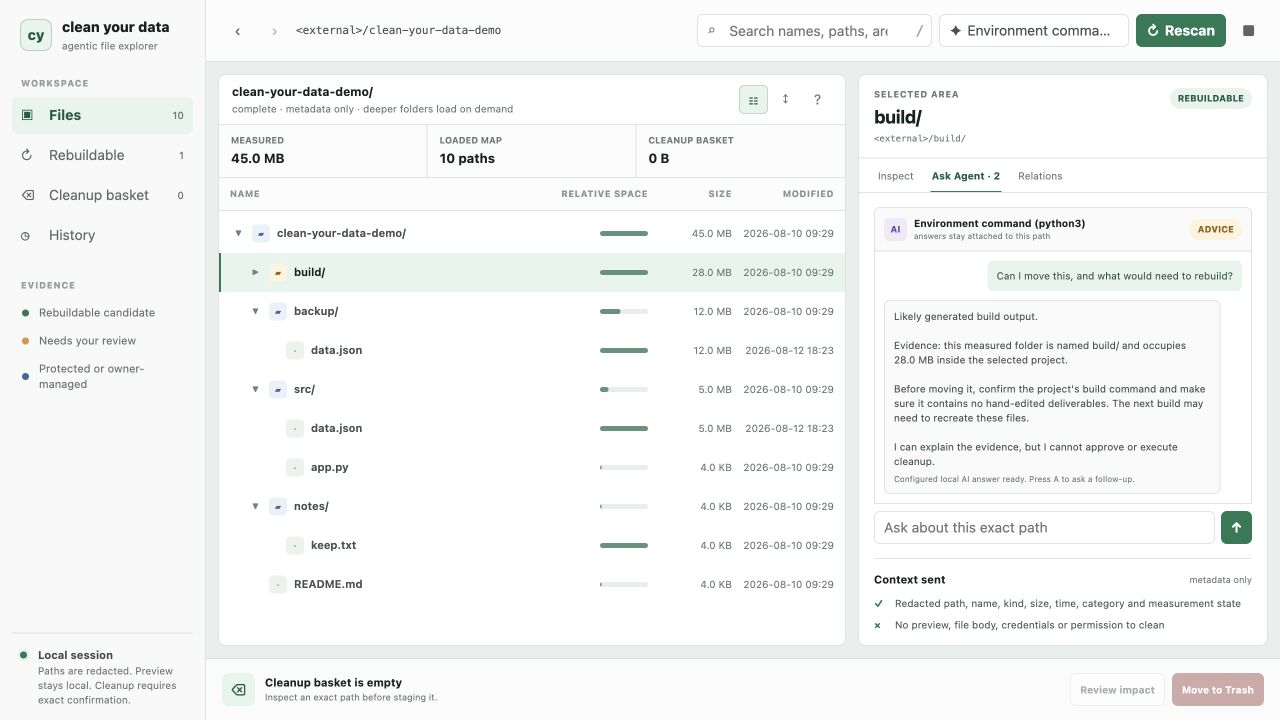 Clean Your Data local browser GUI