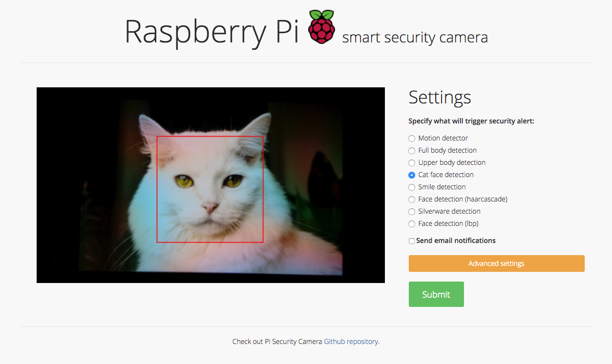 raspberry pi cat camera