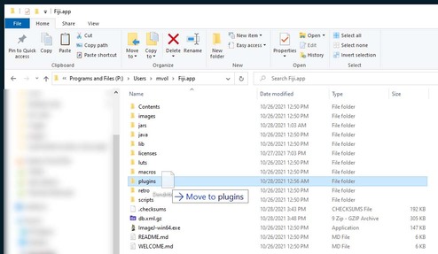 Copying the JAR file to your plugins folder.