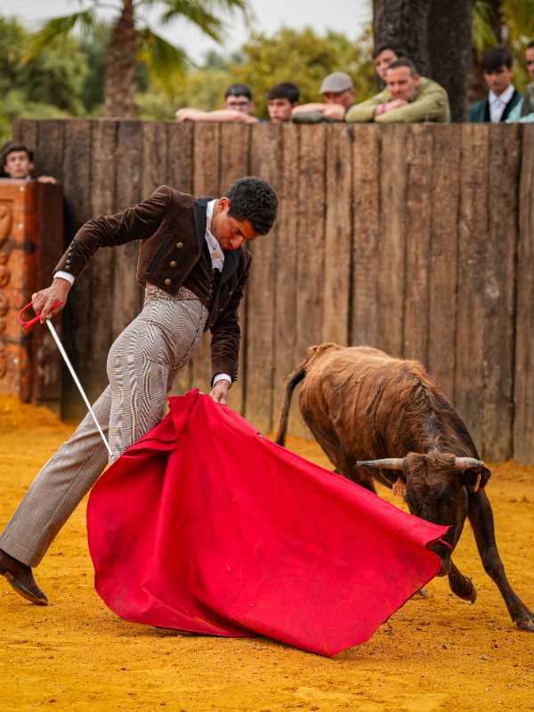 Imagen 3