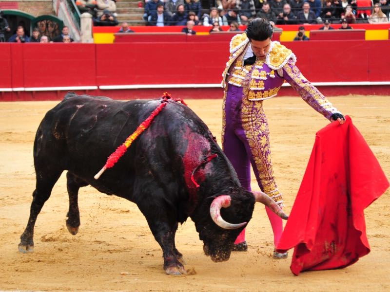 Imagen 1