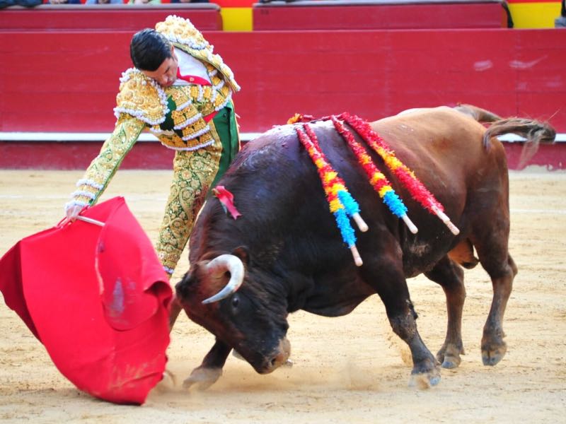 Imagen 2