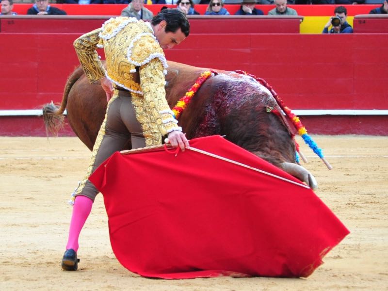 Imagen 3