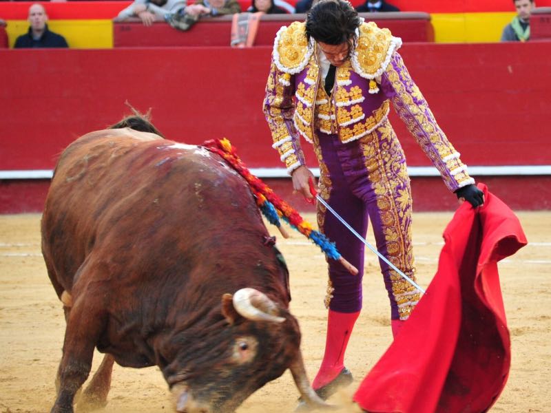 Imagen 4