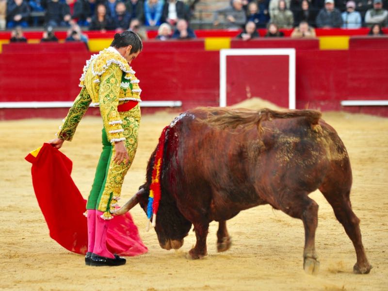 Imagen 5