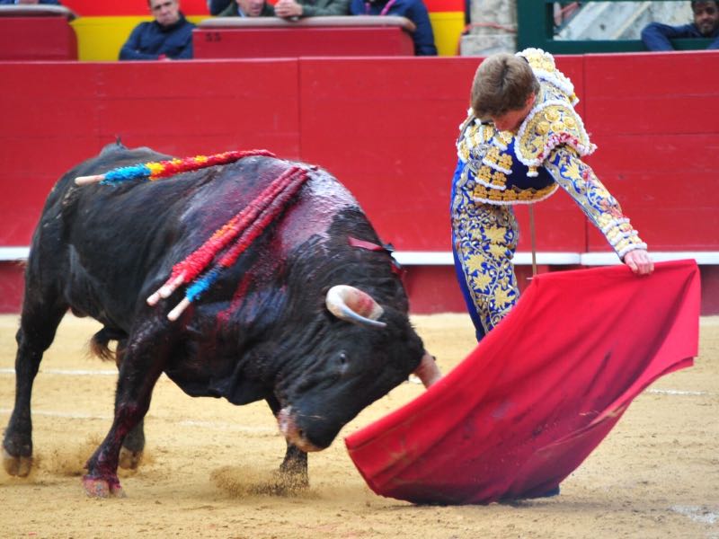 Imagen 2