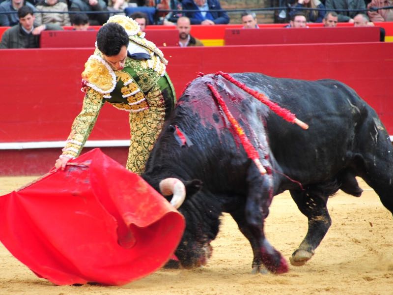 Imagen 3