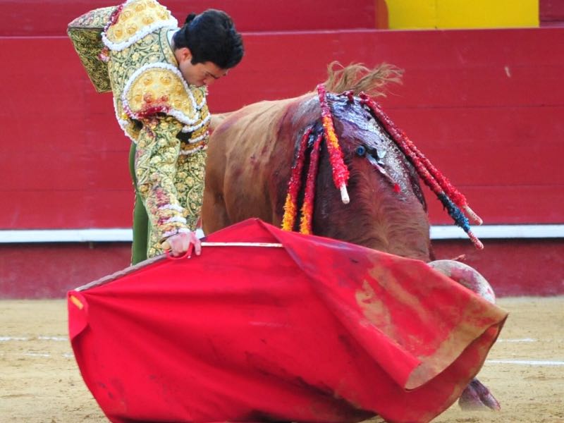Imagen 5