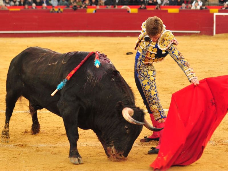 Imagen 6