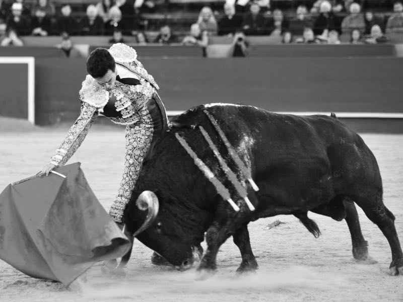 Imagen 7