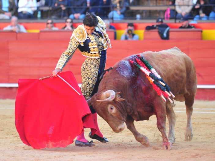 Imagen 1