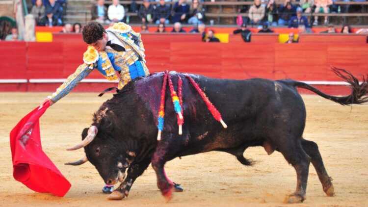 Imagen 2