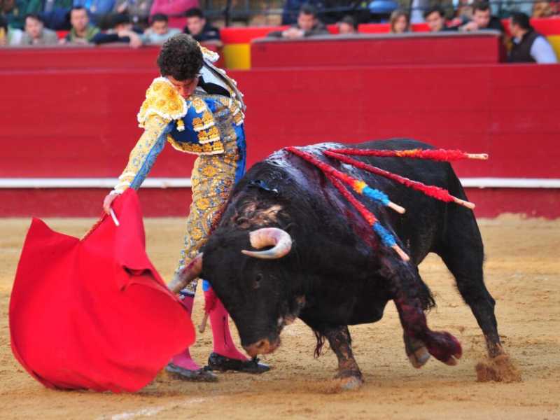 Imagen 5