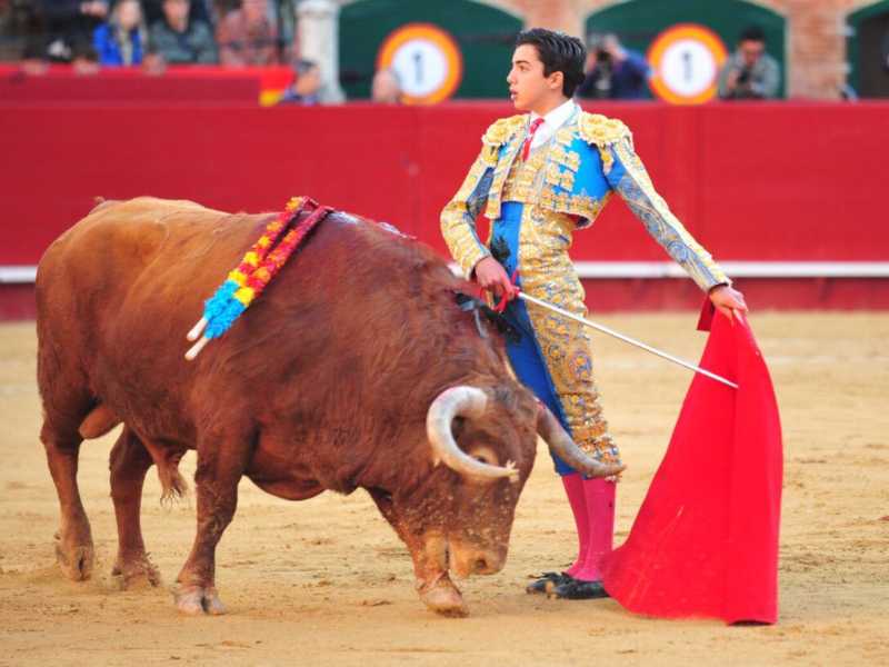 Imagen 6