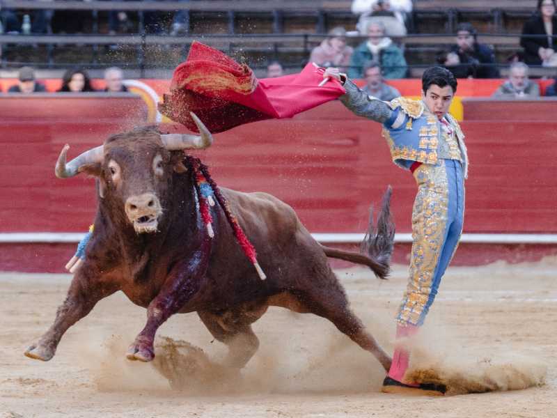 Imagen 9