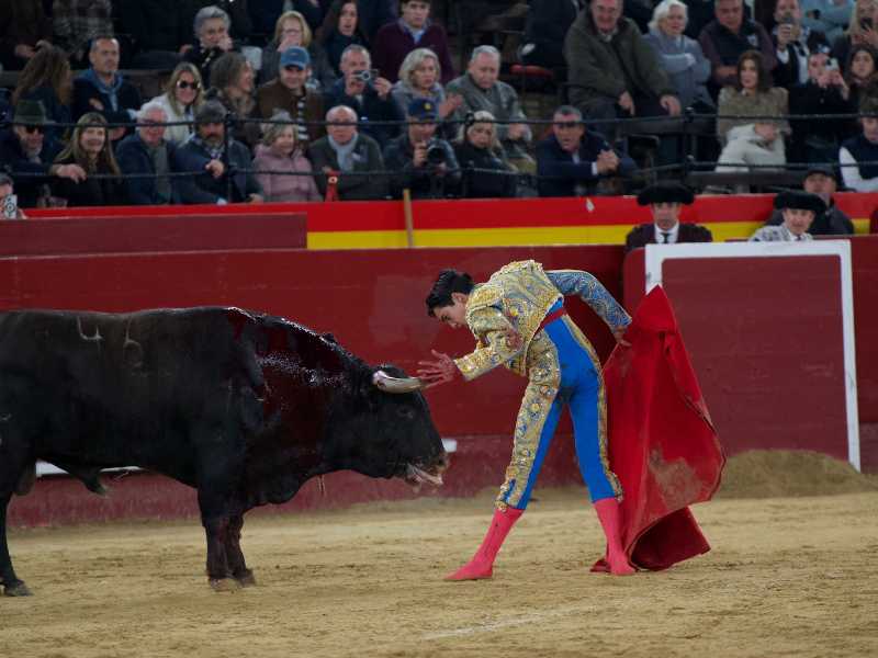 Imagen 10