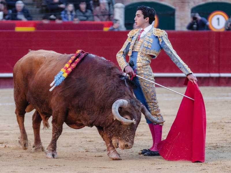 Imagen 12