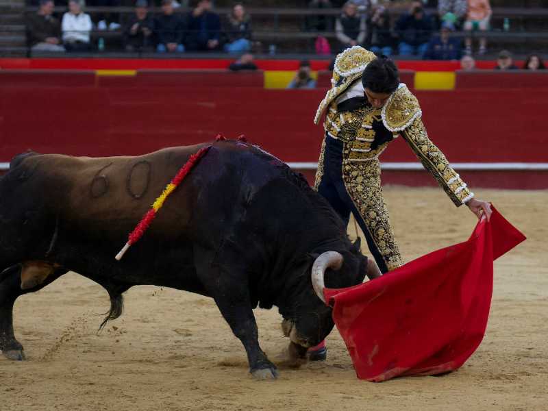 Imagen 13