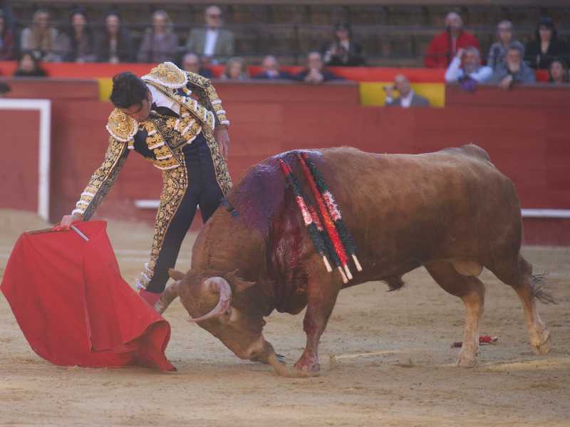 Imagen 14