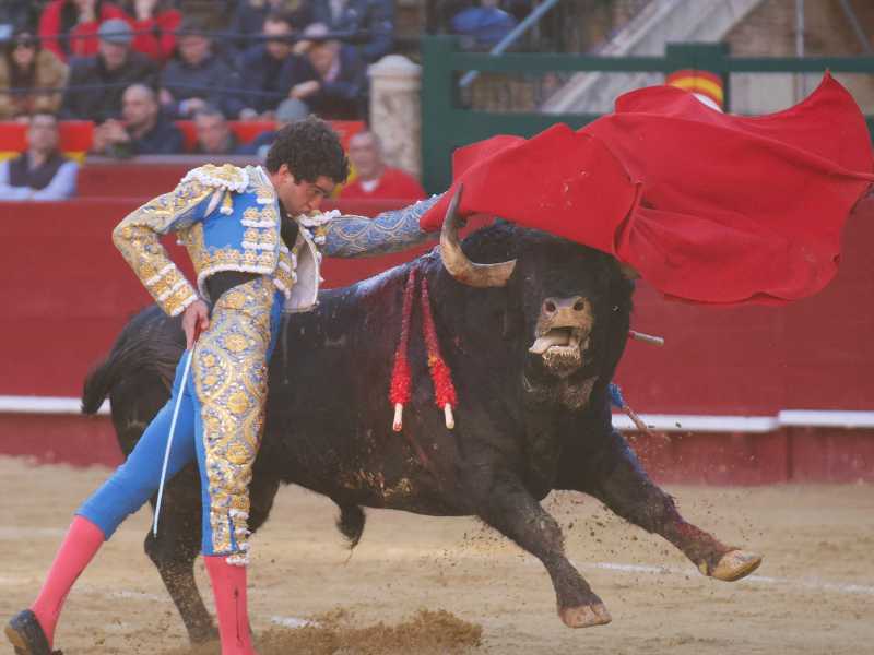 Imagen 15