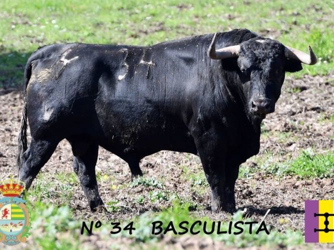 Imagen 5