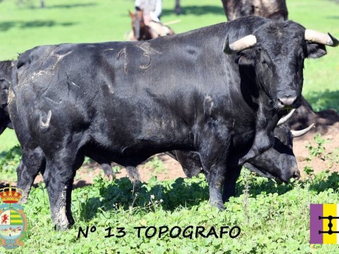 Imagen 6