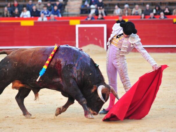 Imagen 3
