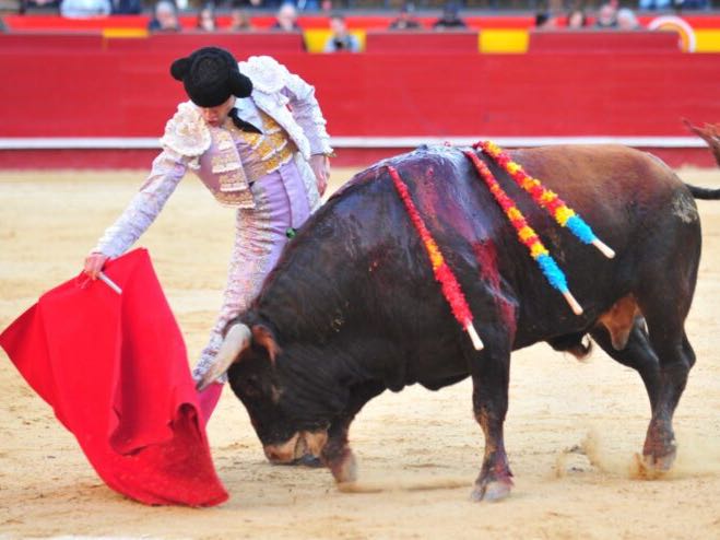 Imagen 4