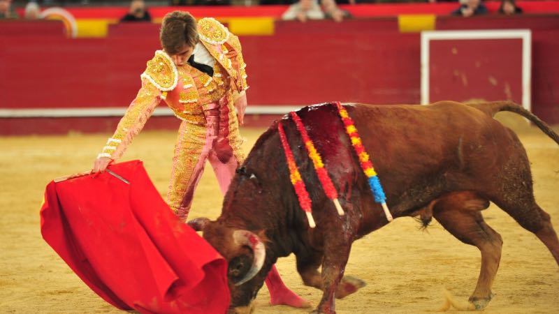 Imagen 5