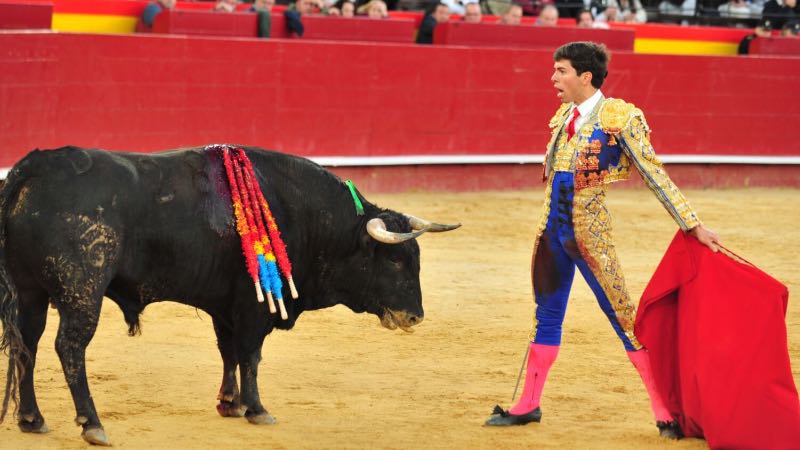 Imagen 6