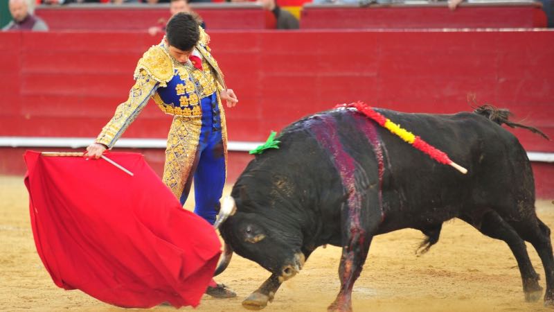 Imagen 7