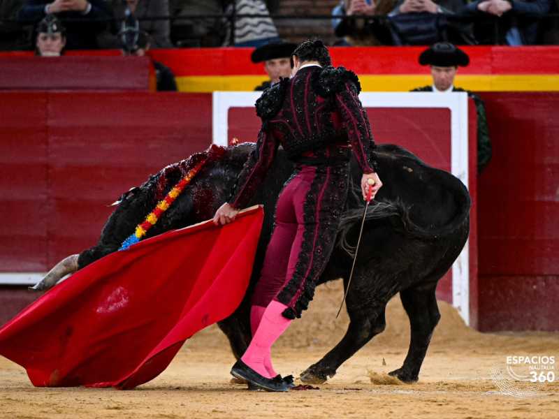Imagen 1