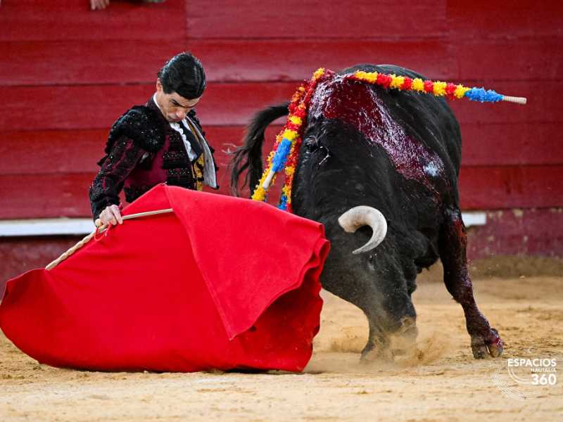 Imagen 3