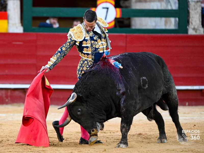 Imagen 5