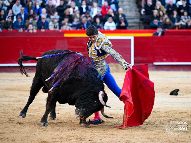 Imagen 6
