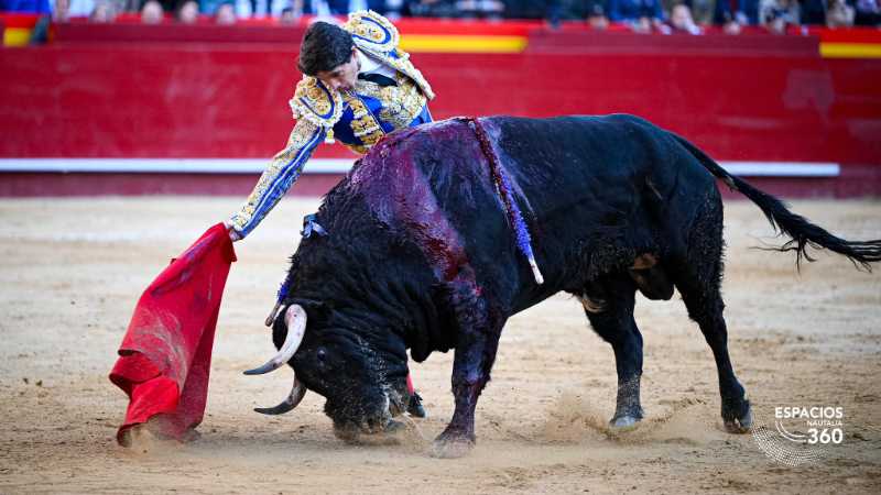 Imagen 8