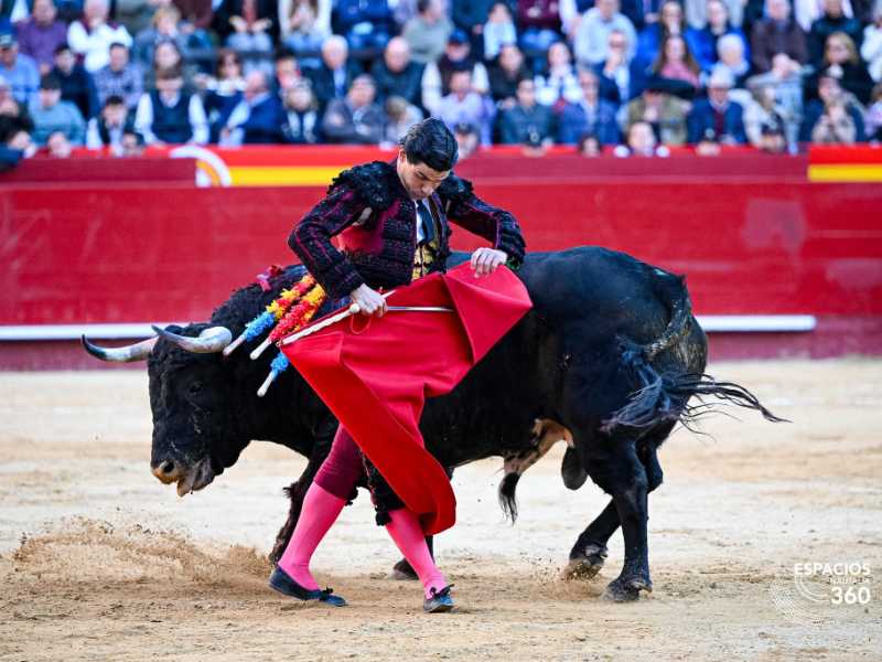Imagen 11