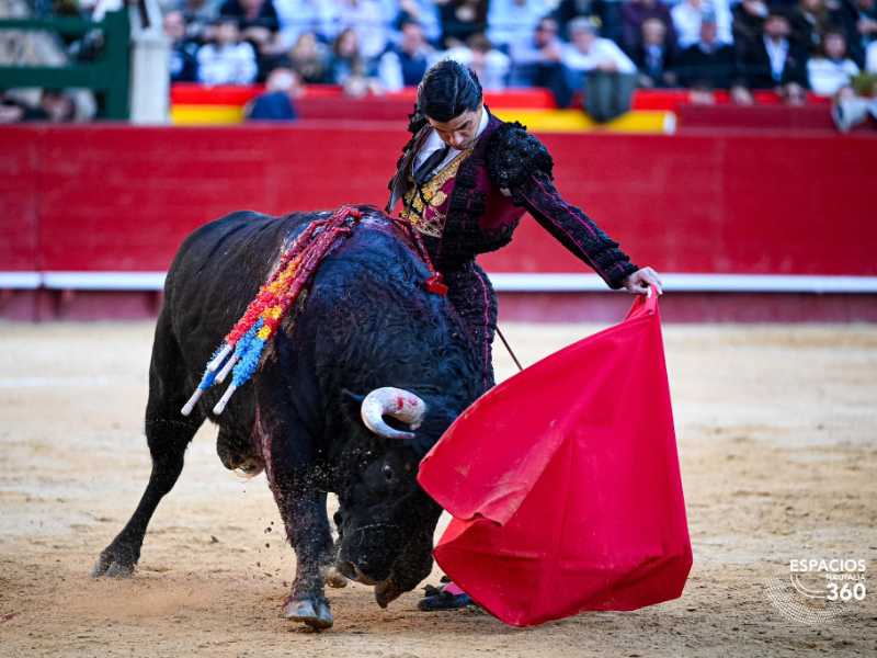 Imagen 12