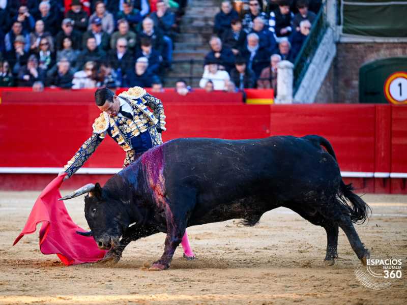 Imagen 14