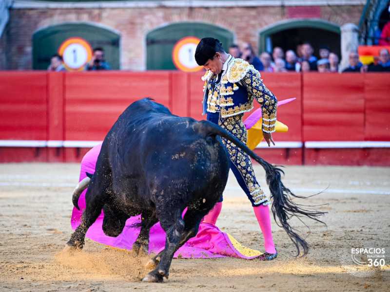 Imagen 16