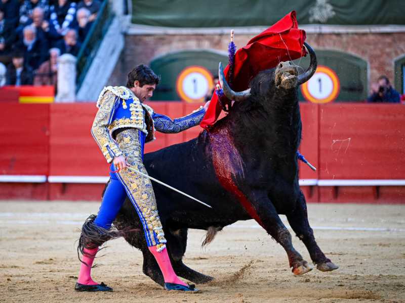 Imagen 18