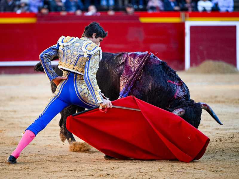 Imagen 19
