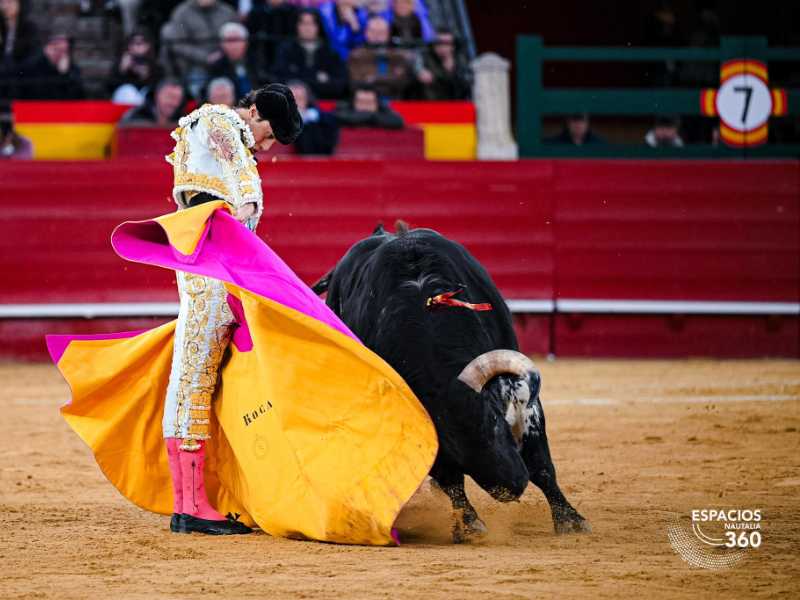 Imagen 2