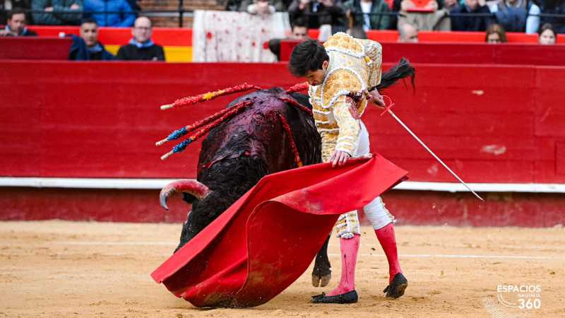 Imagen 7