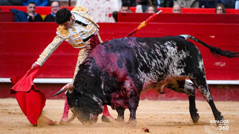 Imagen 8