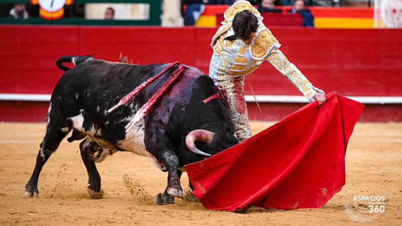 Imagen 11