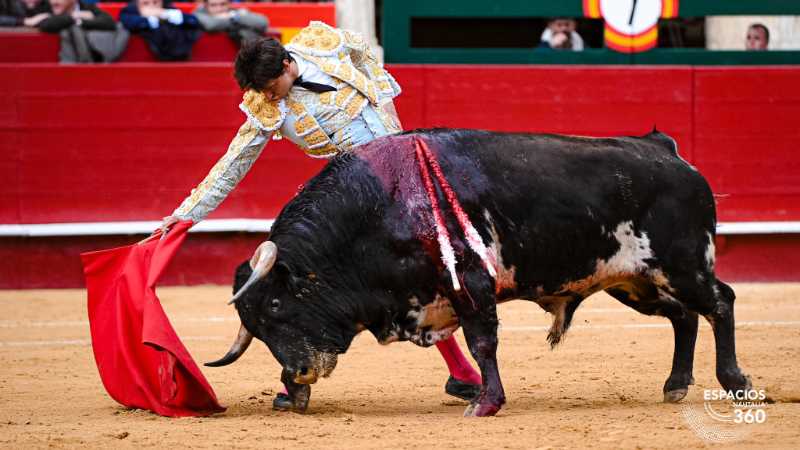 Imagen 12
