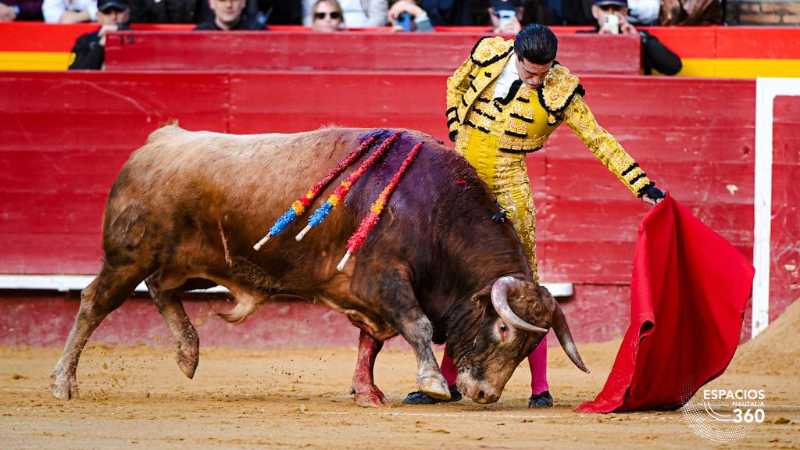 Imagen 14